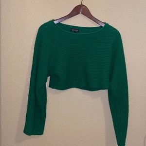 Cropped Topshop Sweater